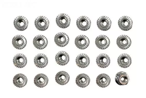 Flange Nut Kit