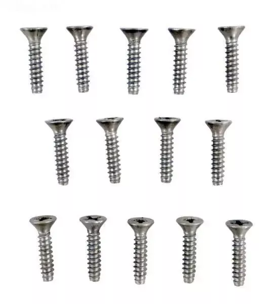 Flathead Screw SS WFL #12 x 1″