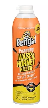 Foaming Wasp & Hornet Killer