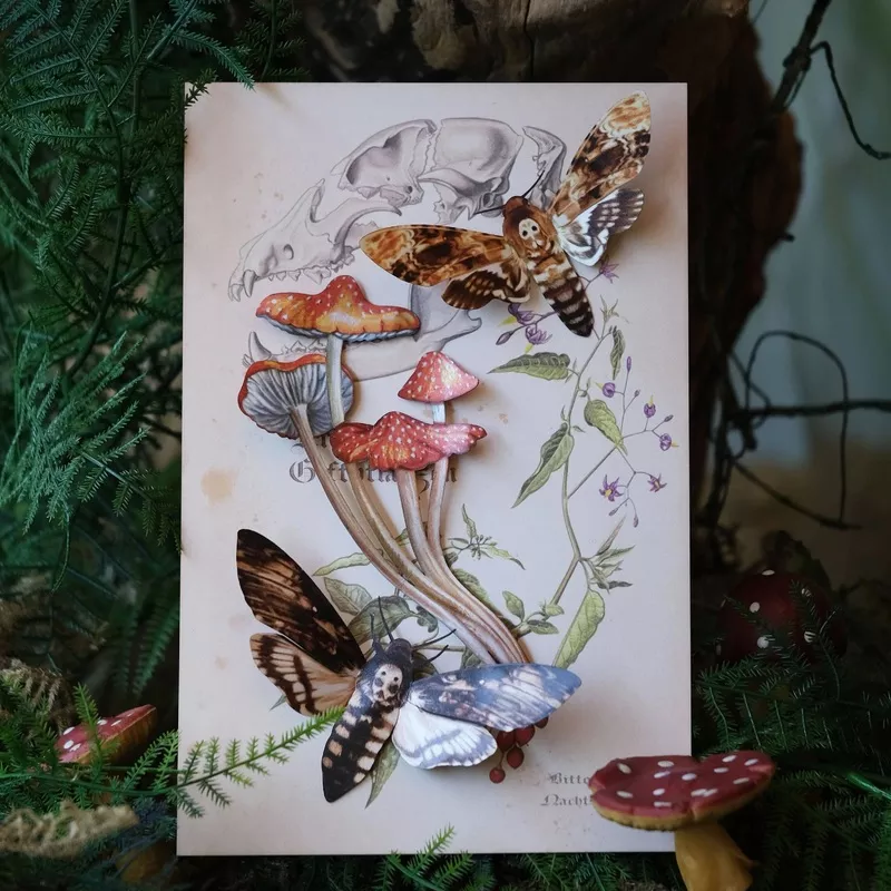 ‘Forage’ Moth & Mushroom 3 piece set