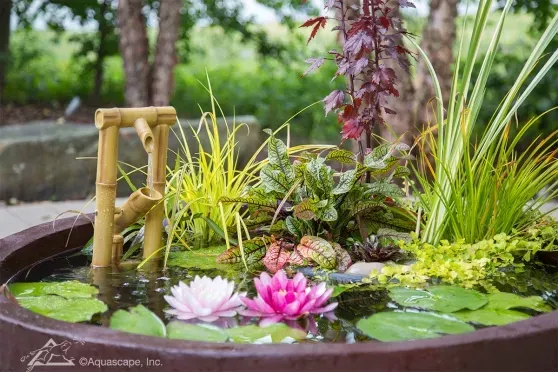 Fountain Spitters