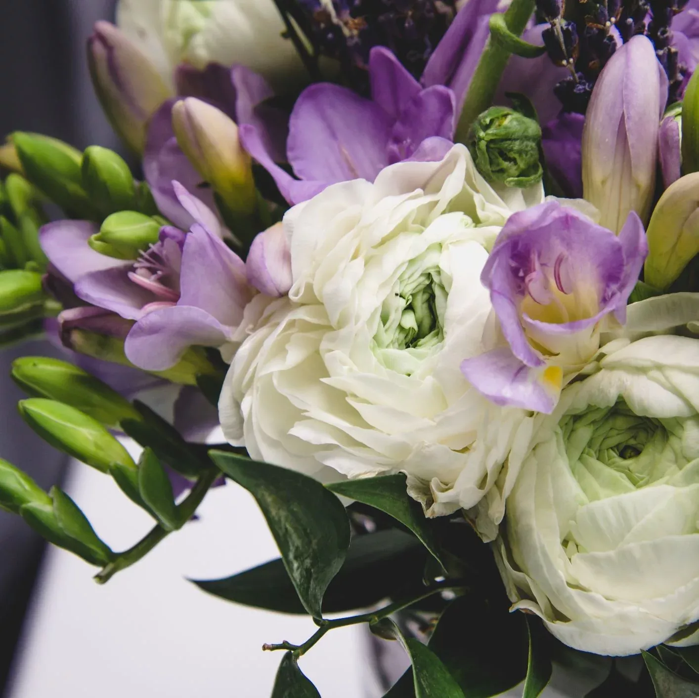 Freesia & Ranunculus - Blueberries & Cream Blend