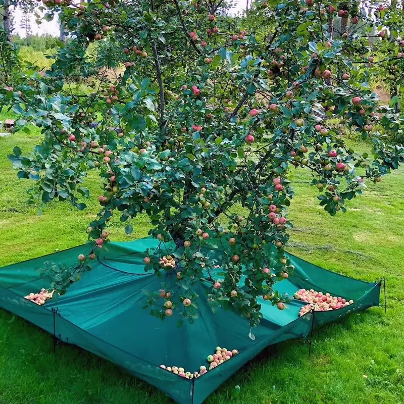 The Fruit Collector Harvesting Net