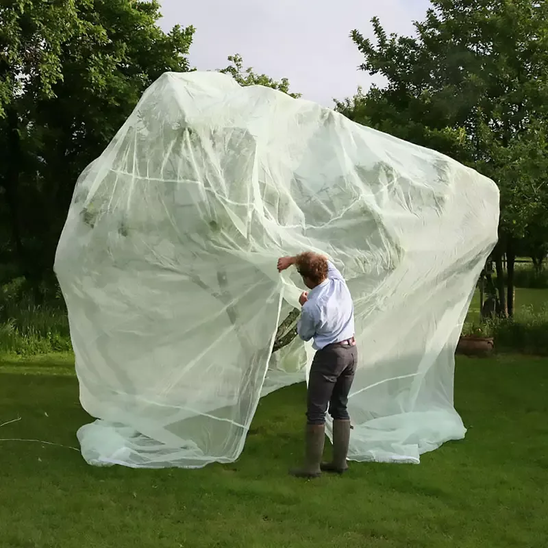 Fruit Tree Cover
