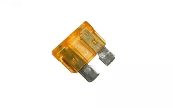 Fuse, 5 Amp