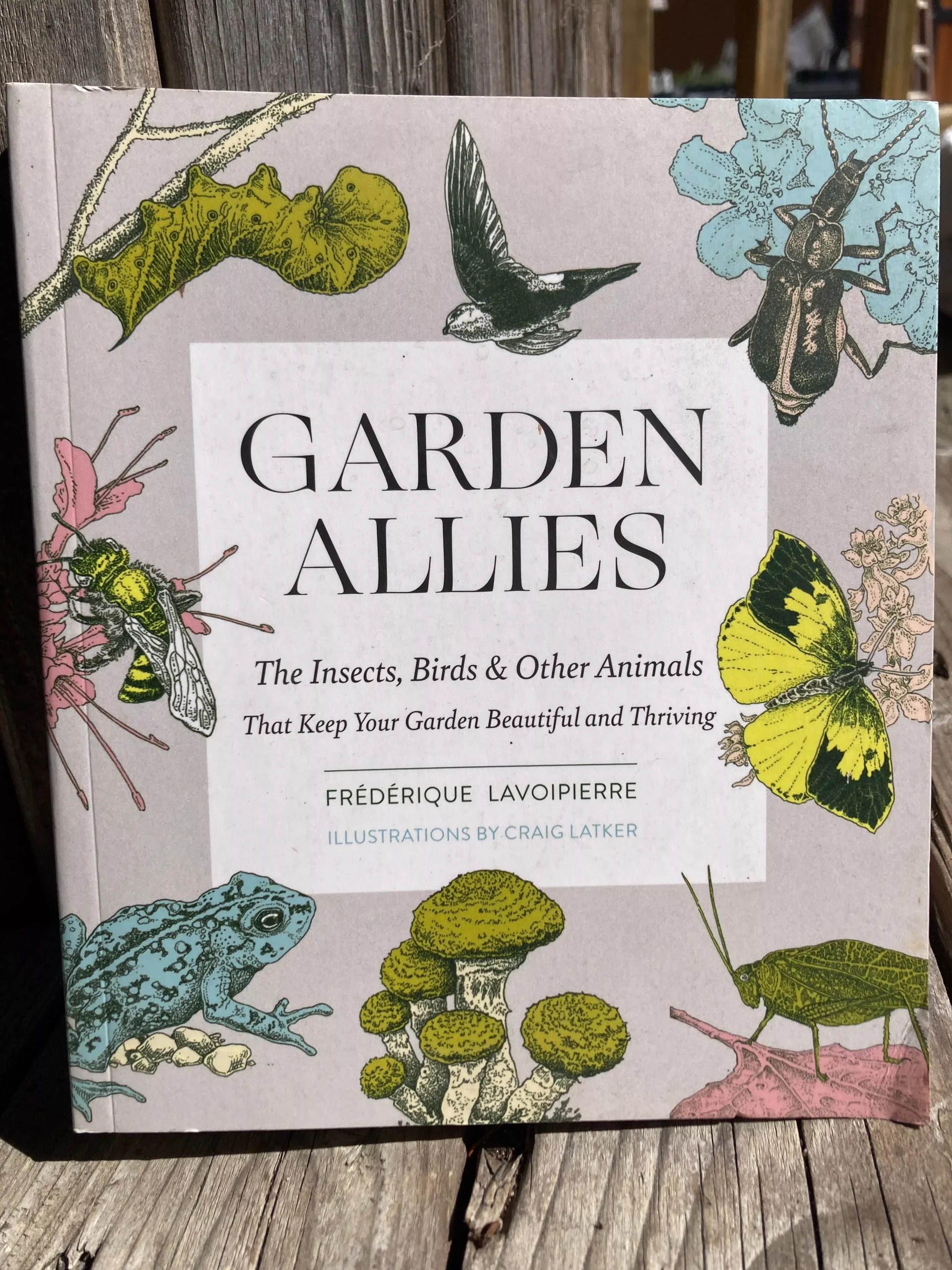 Garden Allies