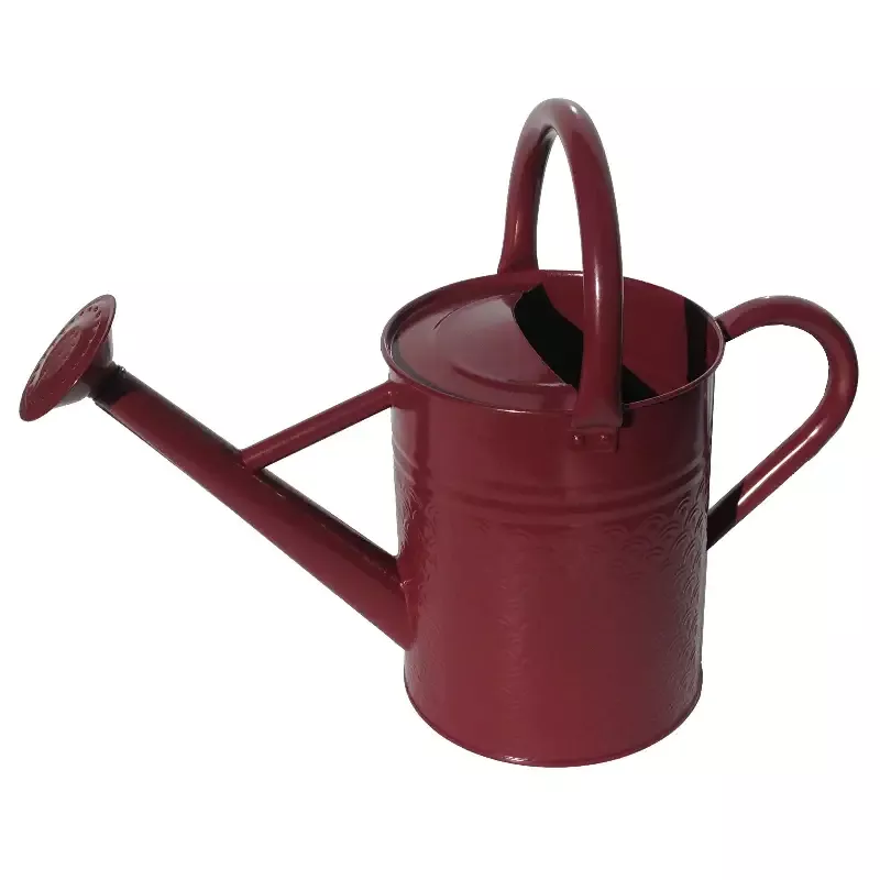 Gardener Select™ Embossed Watering Can