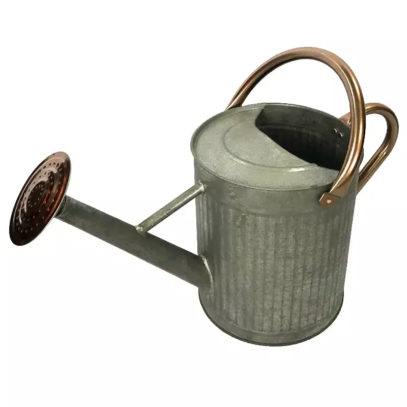 Gardener Select™ Farmhouse Watering Can