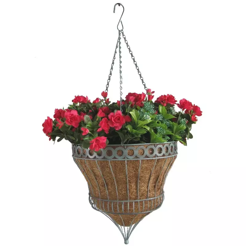 Gardener Select™ Isabella Parasol 14 in. Hanging Basket