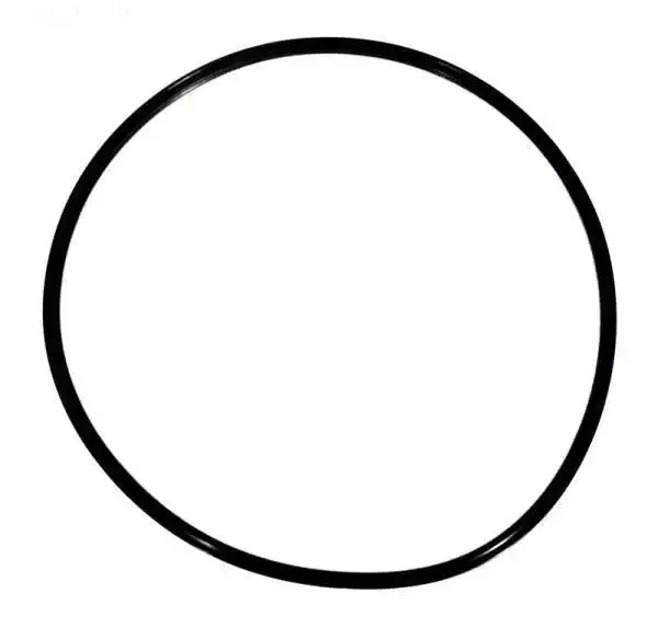 Gasket, CoverD10X