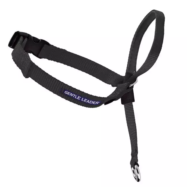 Gentle Leader™ Head Collar for Dogs – Medium, Black