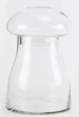 Glass Mushroom Terrarium