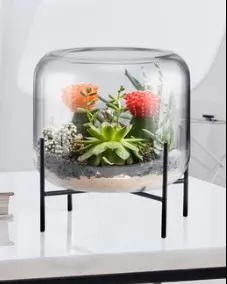 Glass Vase on Stand