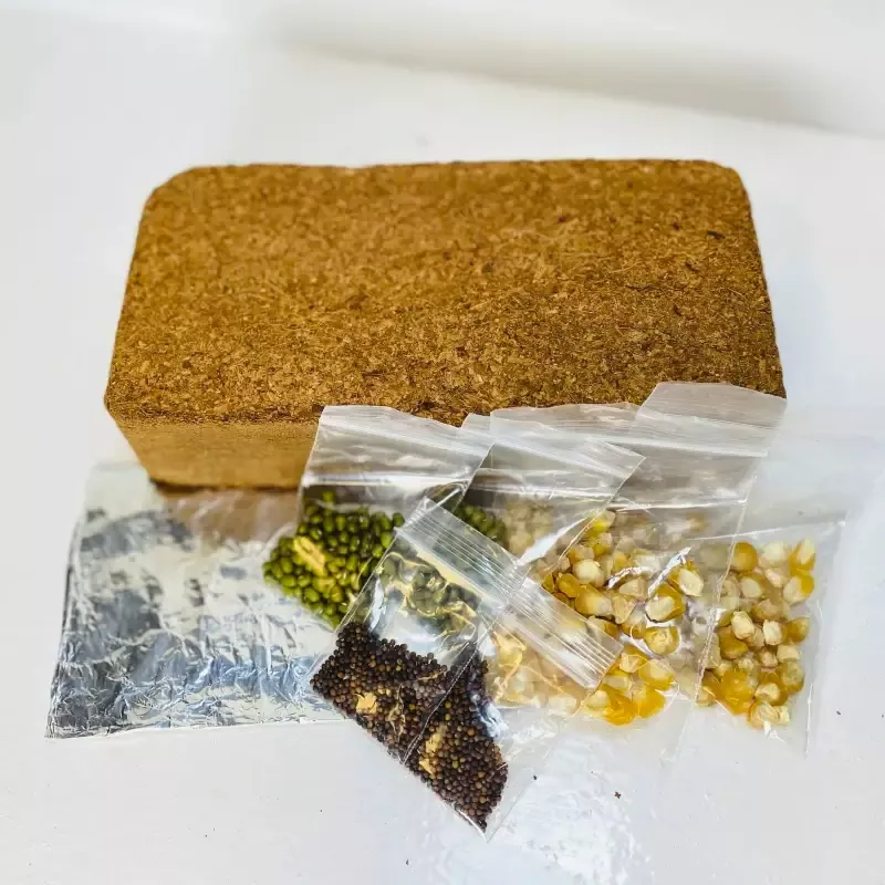 Grades 6-8 Tabletop Living Lab – REPLENISH Kit