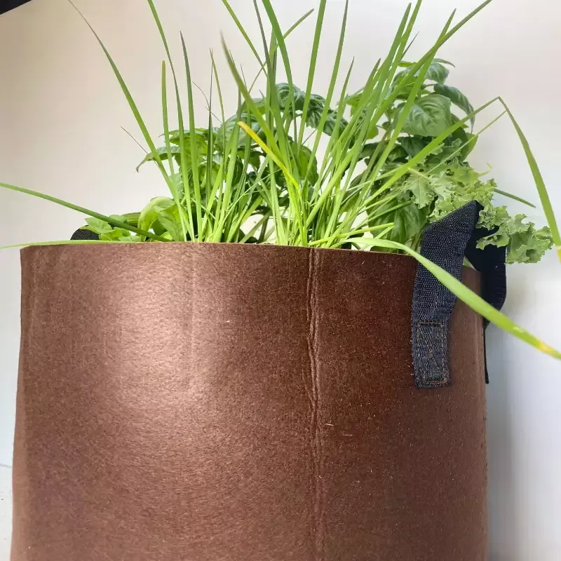 GrowBag Garden Lab – Pesto – REPLENISH Kit