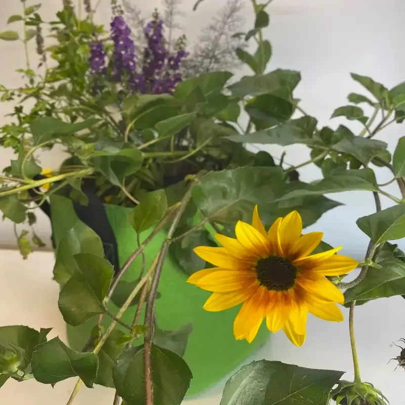 GrowBag Garden Lab – Pollinator – REPLENISH Kit
