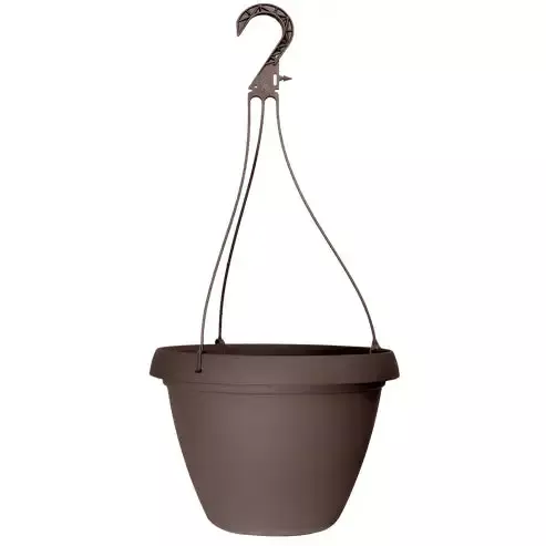 Grower Select 10 in. Cove Combo Hanging Basket