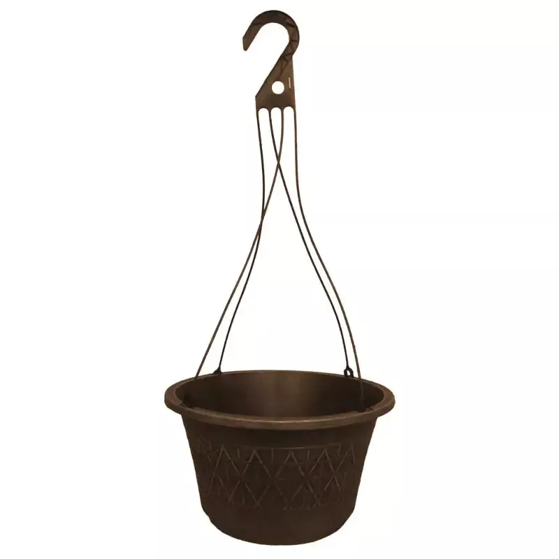 Grower Select Laci 12 in. Hanging Basket