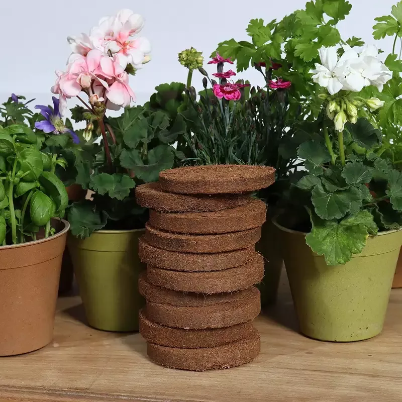 GrowLite Coir Discs 10 pack
