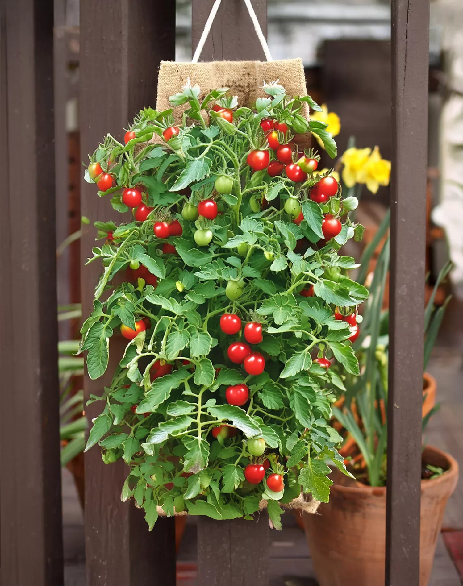 Hang & Grow Burlap Hanging Bag - 2" Holes