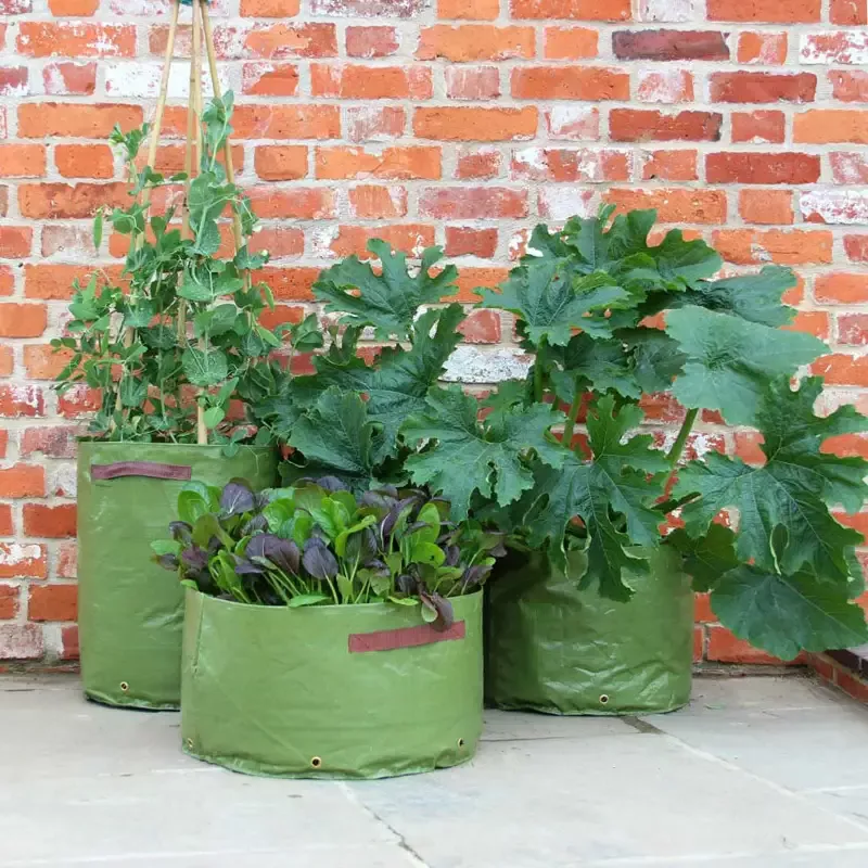 Haxnicks Vegetable Patio Planters – Multisize 3 Pack