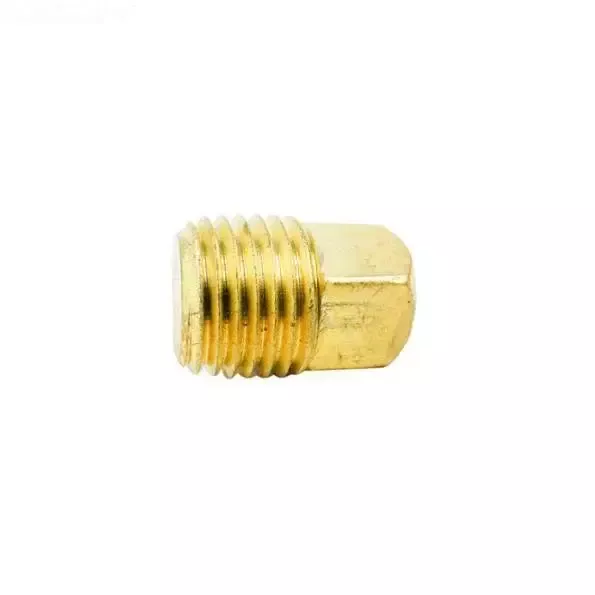 Hayward 1/4″ NPT Brass Plug
