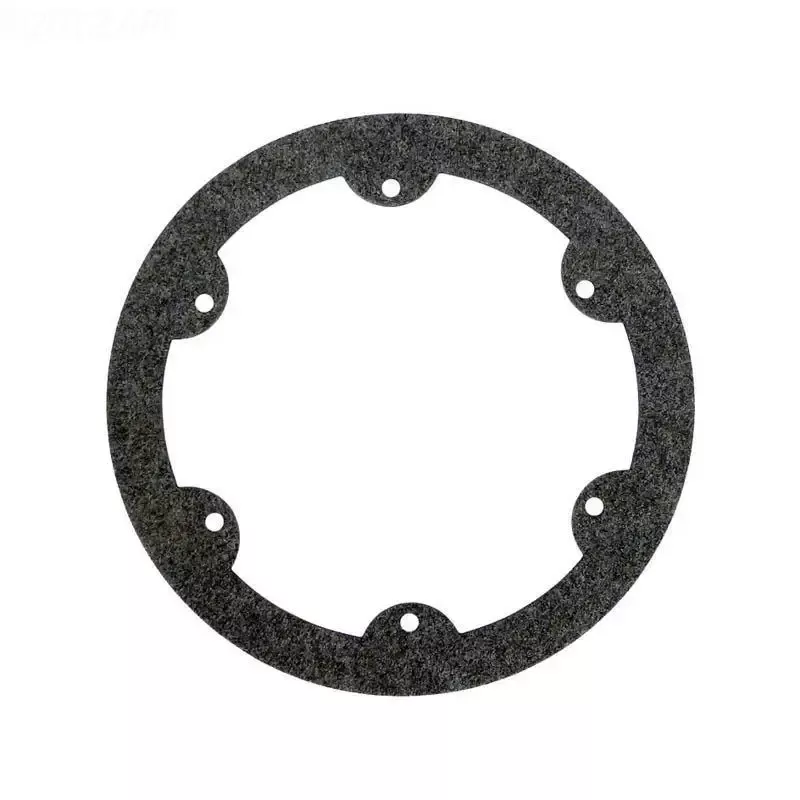 Hayward Gasket – Face Ring