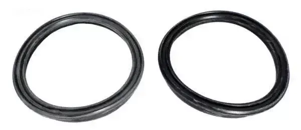 Hayward Gasket, Union, T-seal, 2008 and later