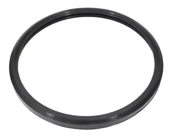 Hayward Lens Gasket