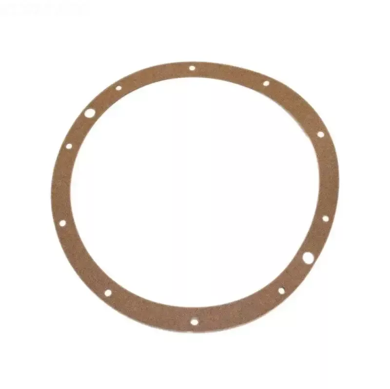 Hayward Light Niche Gasket