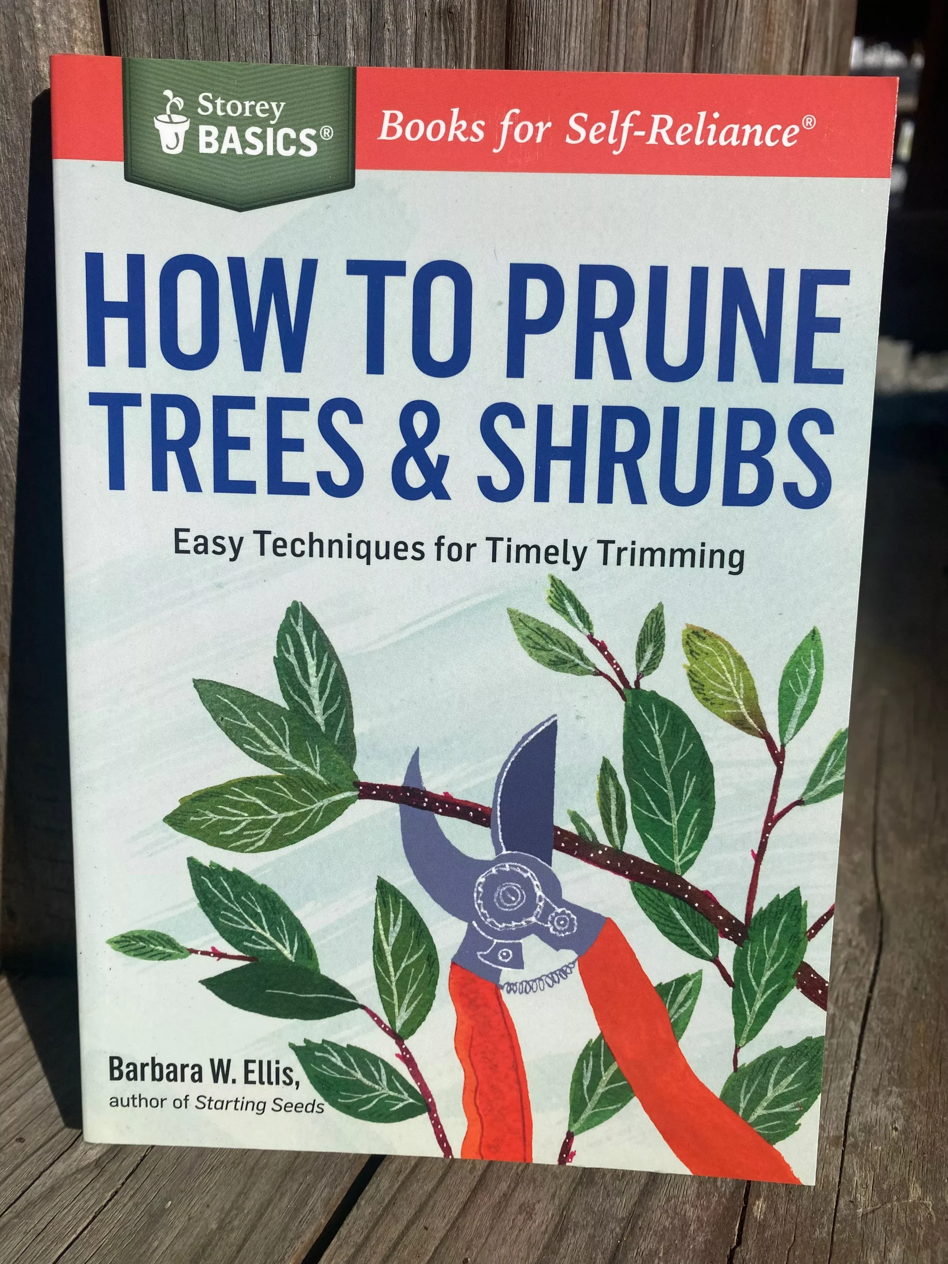How to Prune Trees and Shrubs