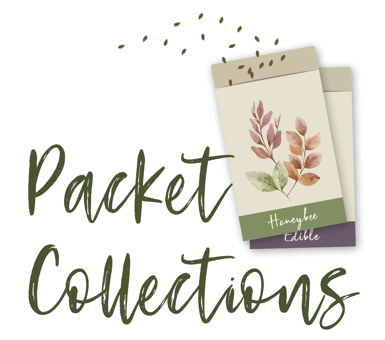 The Hummingbird Collection