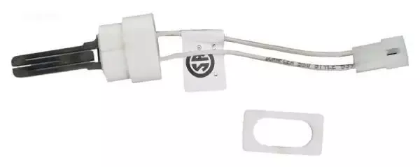 Ignitor w/gasket