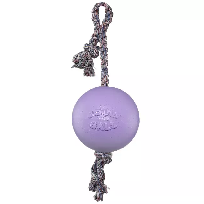 Jolly Pets Romp-N-Roll Ball, Light Purple