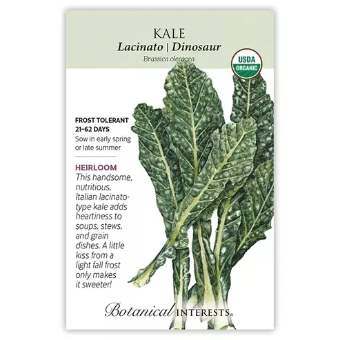 Kale Lacinato Dinosaur Org