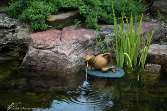 Lazy Frog on Lily Pad Spitter