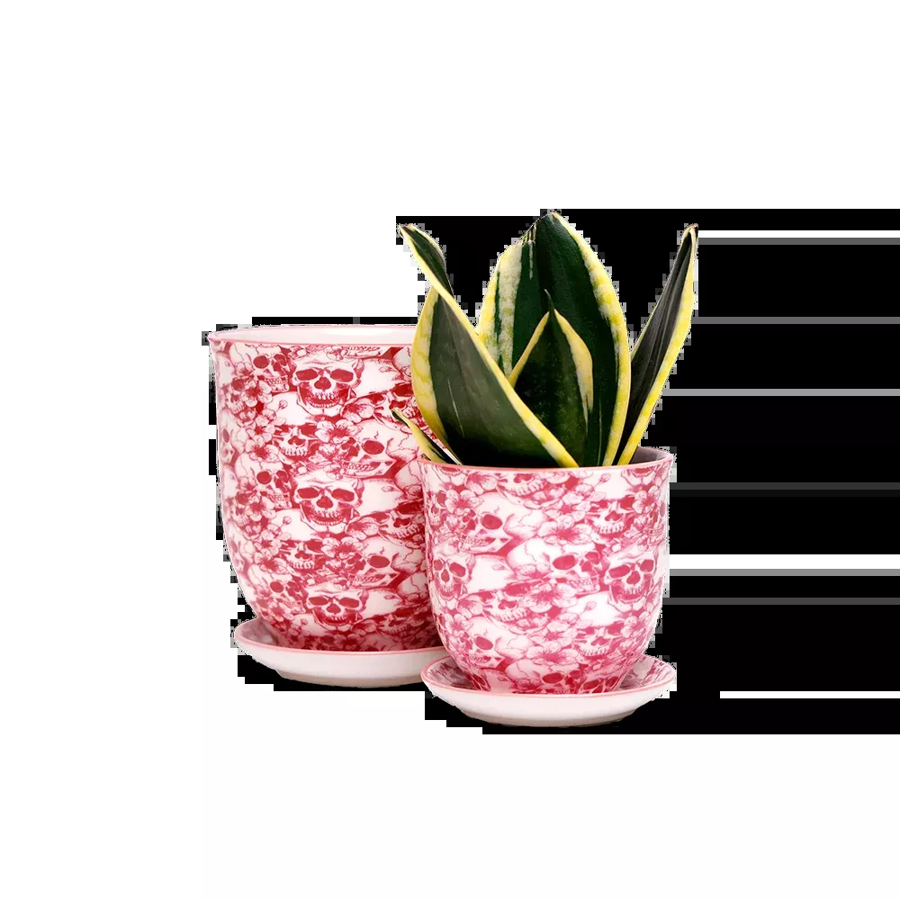 Liberte Ceramic Planter Skull