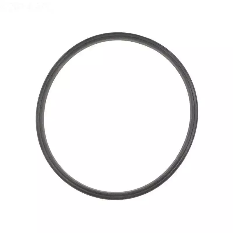 Lid Seal, Sand Filter