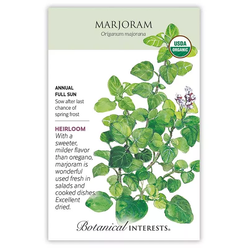 Marjoram Seeds ORG