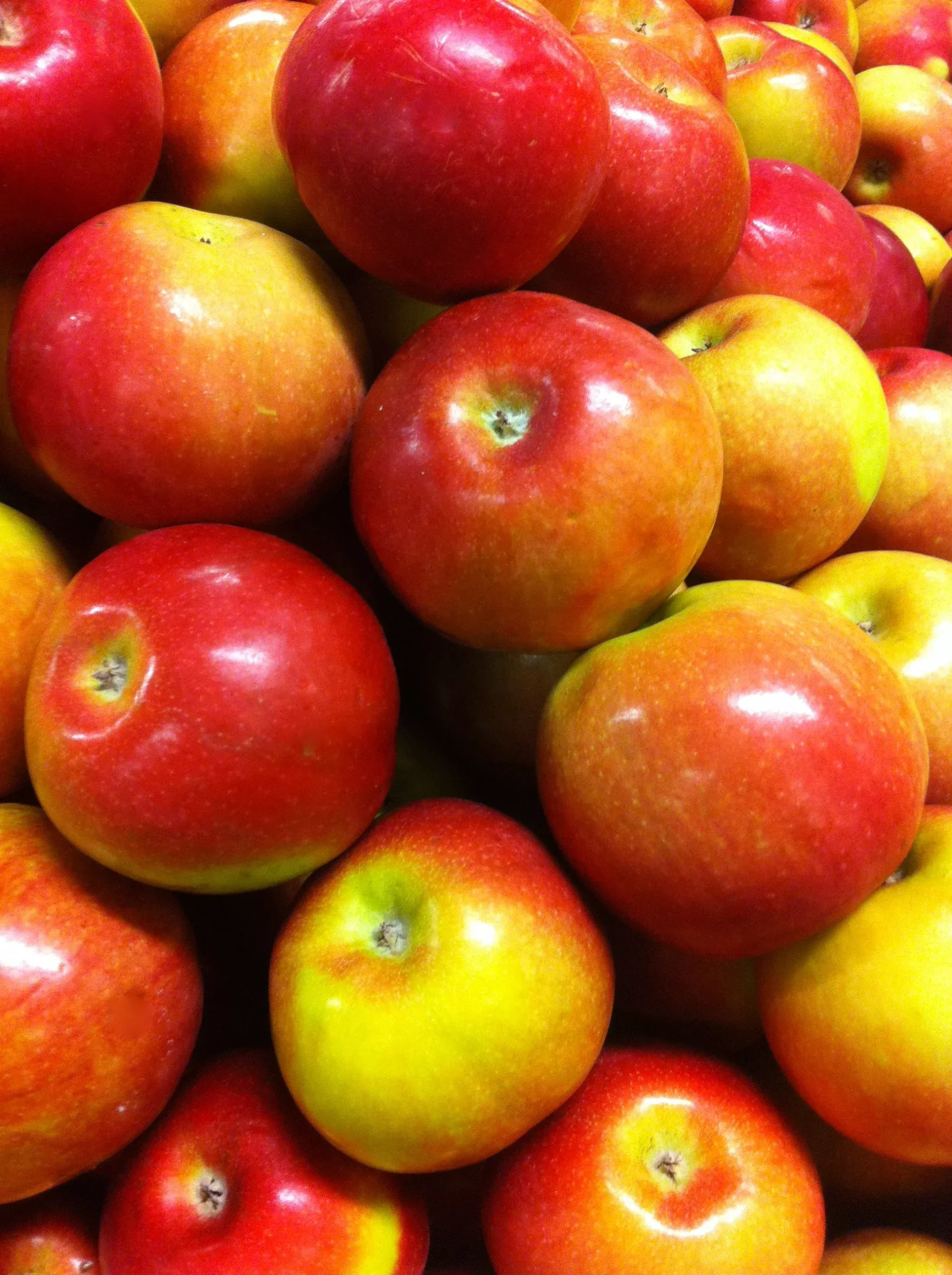 McIntosh Apple
