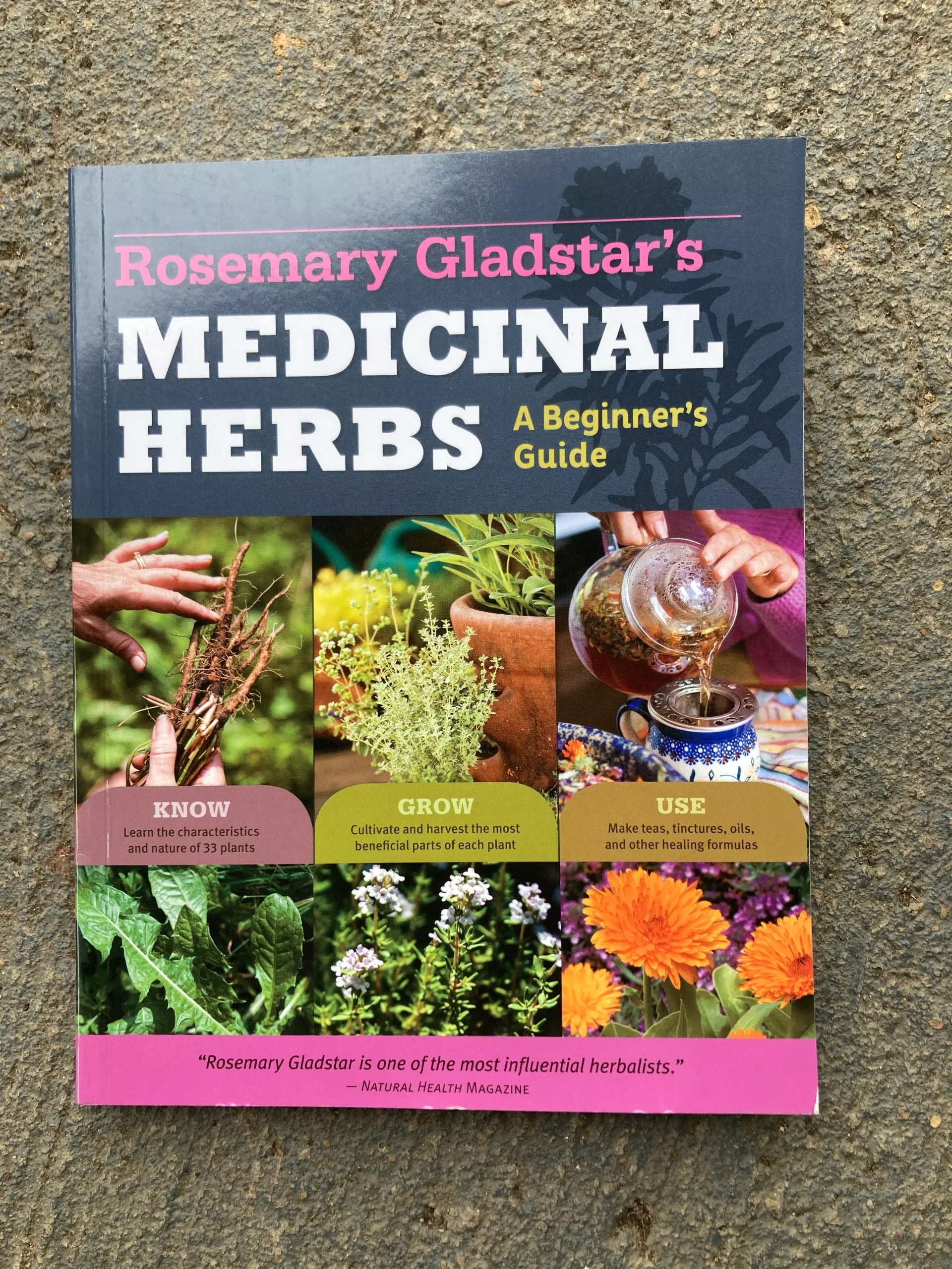 Medicinal Herbs: A Beginner's Guide