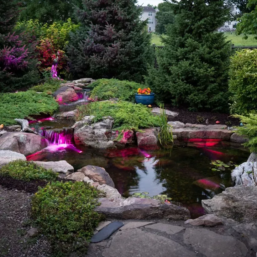 Medium Deluxe Pond Kit 11 X 16