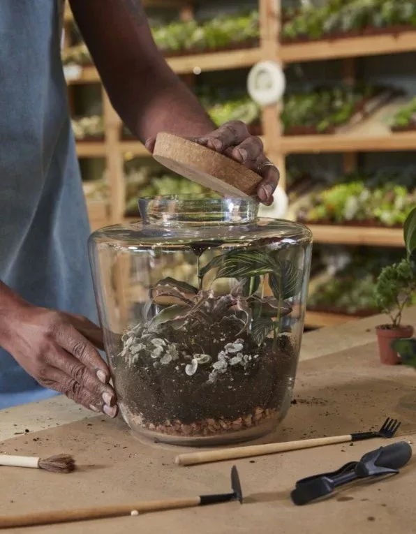 Message Terrarium