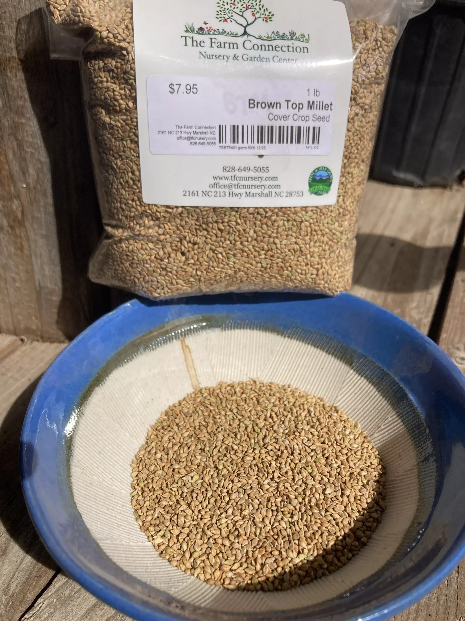 Millet, Brown Top