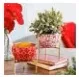 Mini Planters with Stands