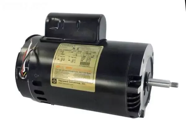 Motor, 2 hp, 2-speed