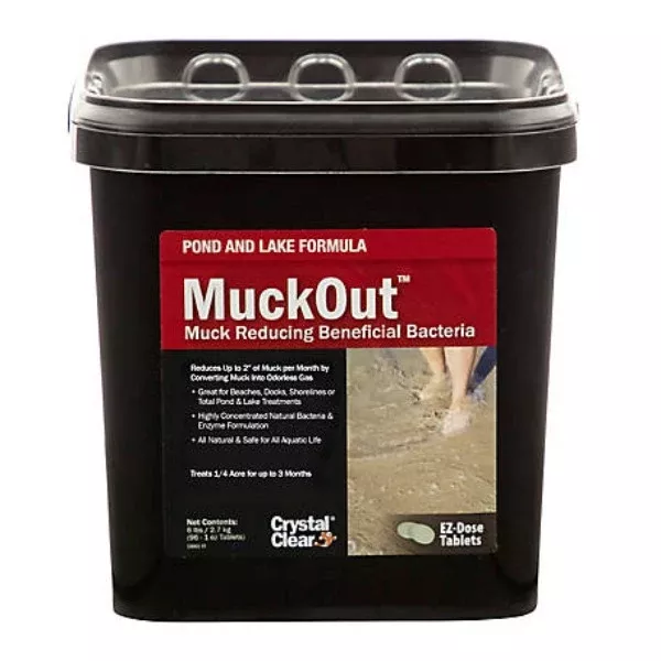 Muckout Pond & Lake