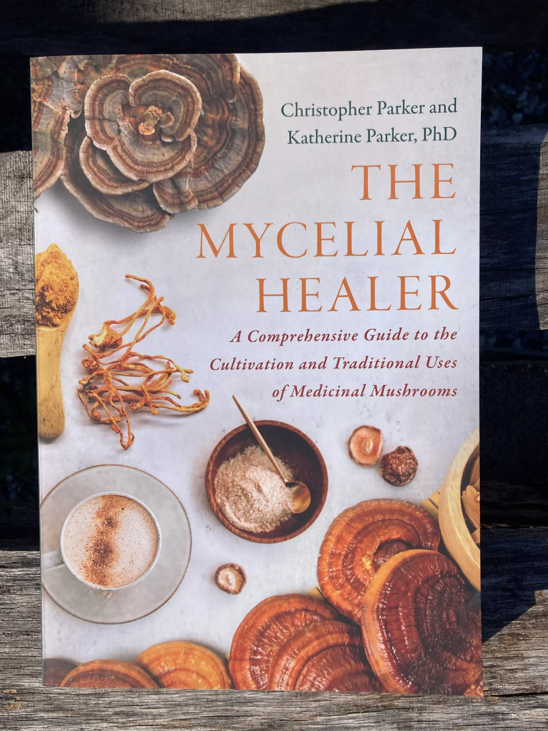 The Mycelial Healer