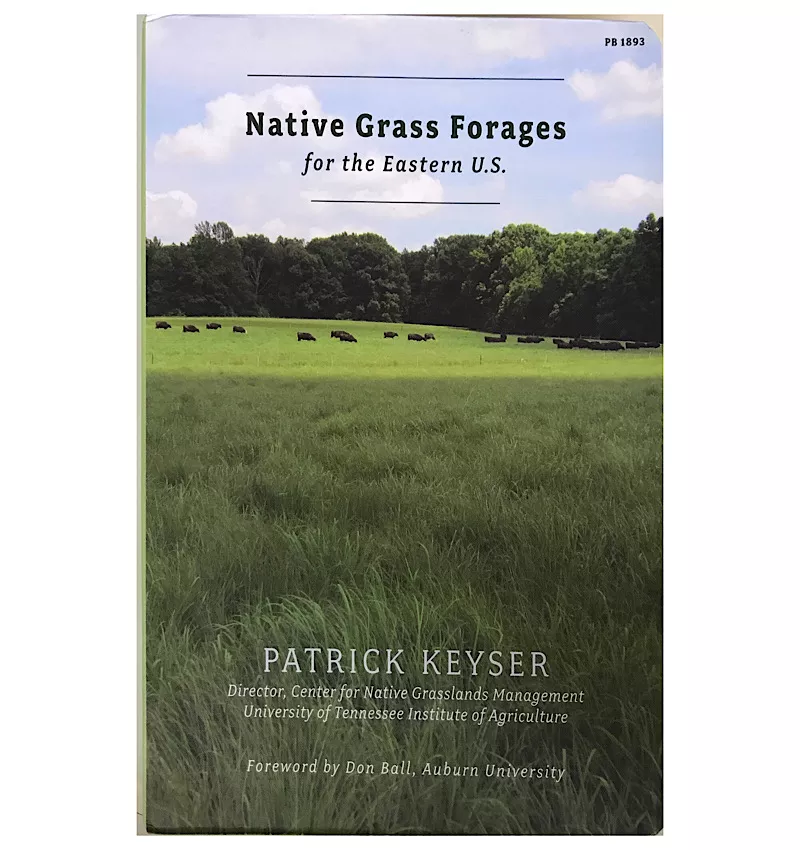 Native Grass Forages for the Eastern U.S.