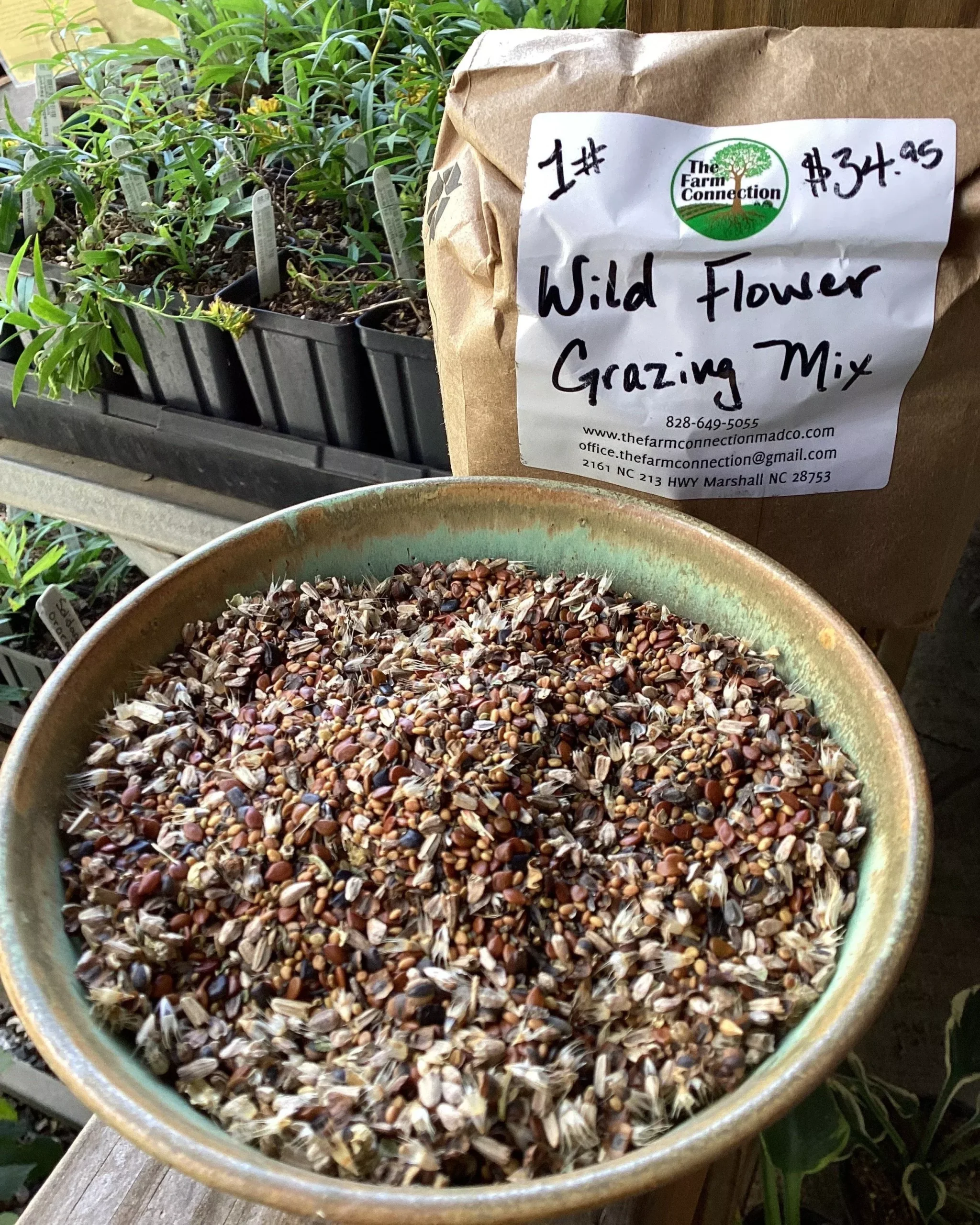 Native Wildflower Grazing Seed Mix